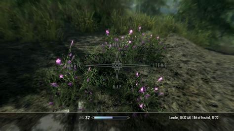 purple mountain flower skyrim